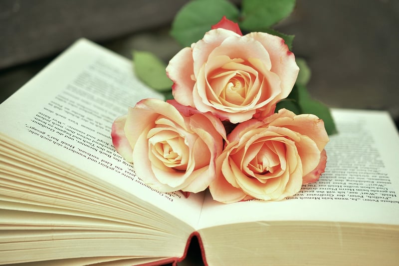 Historical Fiction Books